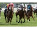  Carrera: P.Játiva Caballo: Haya Taal Monta: E.A Rodríguez